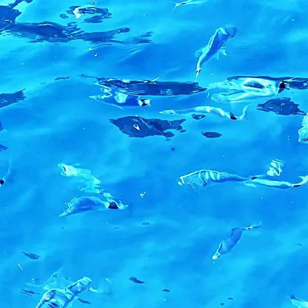 Ezevacances Capuccino Vue *