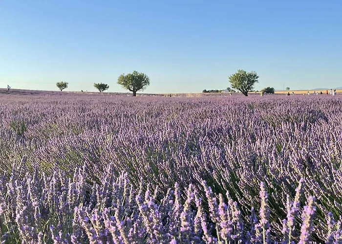 アパート Ezevacances Capuccino Vue 5 Mn 7 Mn Gare Wifi エズ