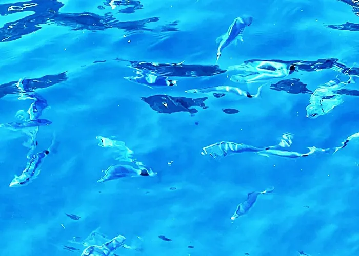 Ezevacances Capuccino Vue 5 Mn 7 Mn Gare Wifi *