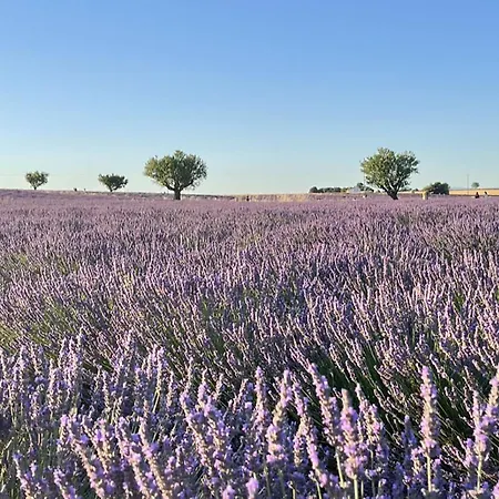 Lejlighed Ezevacances Capuccino Vue 5 Mn 7 Mn Gare Wifi Èze